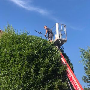Dienstleistungen in Graz – Gazi Dienstleistung